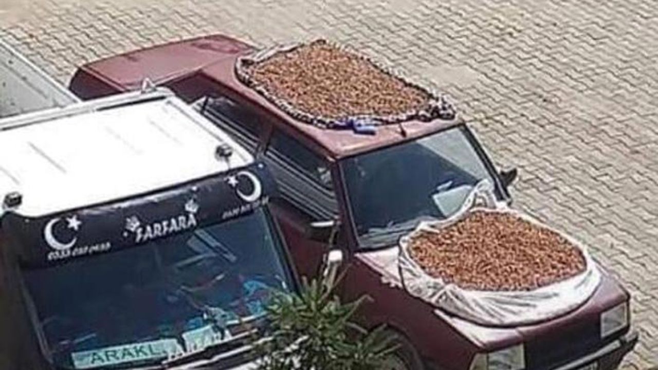 Sürmeneli mucit fındığı kurutmanın yolunu buldu
