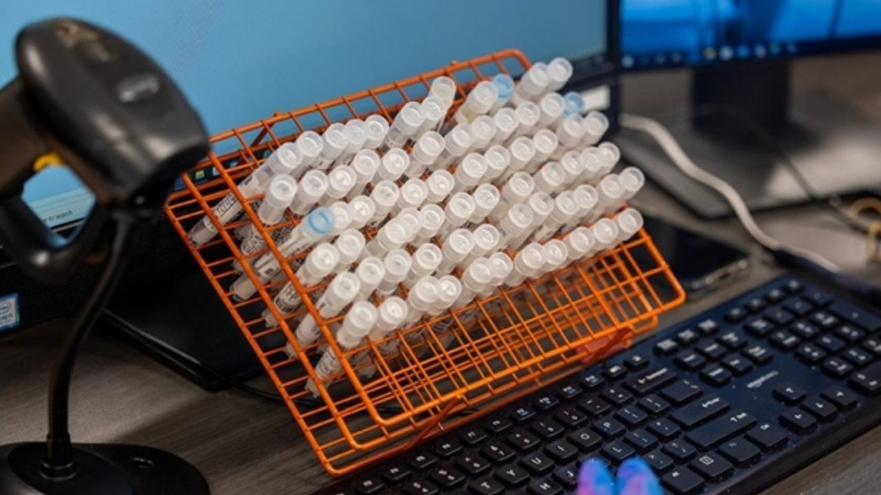 Çin, yurt dışından gelen yolcuların Kovid-19 test numunelerinde DNA incelemesi yapacak