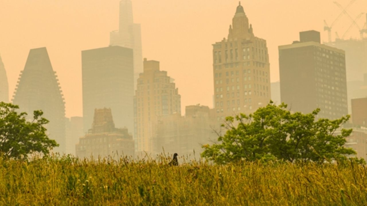 New York'taki duman neyin işareti?