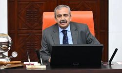 Sırrı Süreyya Önder hayatını kaybetti