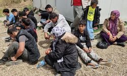 Yunan güçleri, göçmenleri gaspettikten sonra Türkiye'ye itti