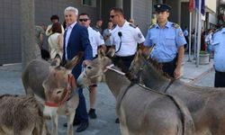 Aylardır başkan seçemeyen meclise eşekli protesto