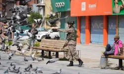 Hindistan'da güvercin beslemek yasaklandı