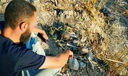 Esed rejimi toplu mezarları çöle nakletmiş