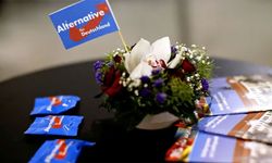 Alman ve Amerikan ırkçılarından ortak hareket etme çağrısı