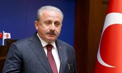 Meclis Başkanı Şentop'tan İsrail'e kınama