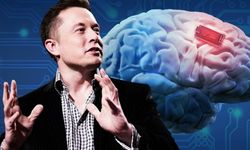 Musk, insan beynine çip projesinde kararlı