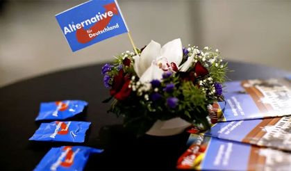 Alman ve Amerikan ırkçılarından ortak hareket etme çağrısı