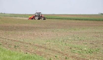 Siyonist çeteler gözünü Suriye tarım arazilerine dikti