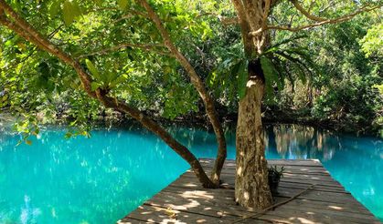 Başka bir dünya cenneti Vanuatu