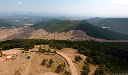 Bakanlıktan Kaz Dağları'nda altın aranmasına ilişkin açıklama