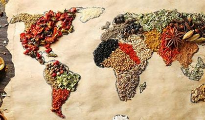 Afrika gıda sanayi yüzde 400 büyüyecek