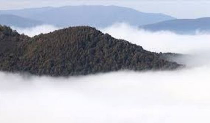 Doğu Marmara ve Batı Karadeniz'de sis etkili oluyor