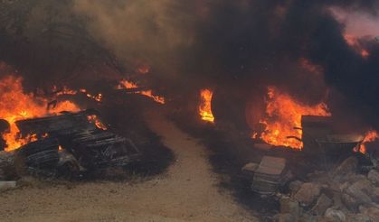Manavgat'taki orman yangınında bir kişi öldü