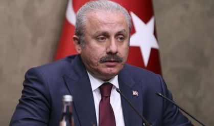 Şentop, Kılıçdaroğlu'nun "referandum" iddiasına yalanladı