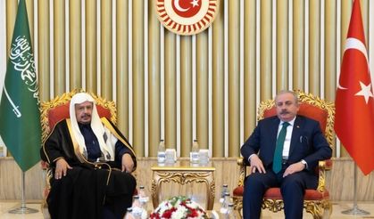 TBMM Başkanı Şentop, Suudi Arabistan Şura Meclisi Başkan Al Şeyh ile bir araya geldi