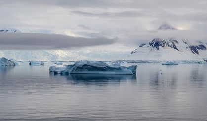 Antarktika'daki deniz buzu 43 yılın en düşük seviyesine düştü