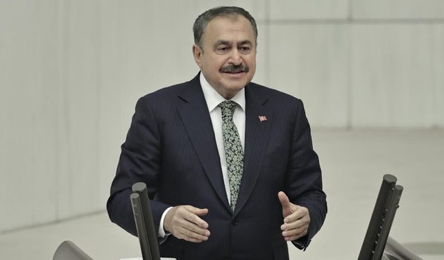 Veysel Eroğlu Irak Özel Temsilcisi olarak atandı