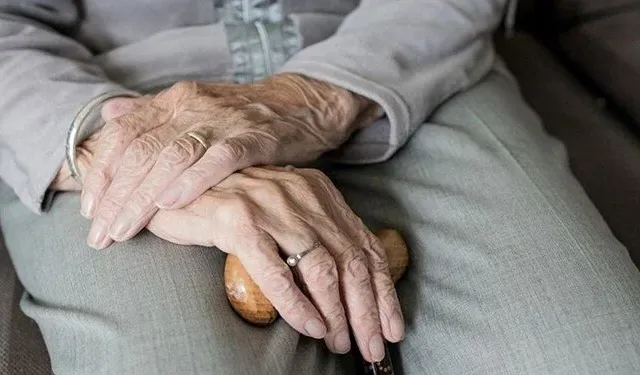 Japonya’da “Büyükanne Kiralama” hizmetine yoğun ilgi