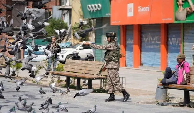 Hindistan'da güvercin beslemek yasaklandı