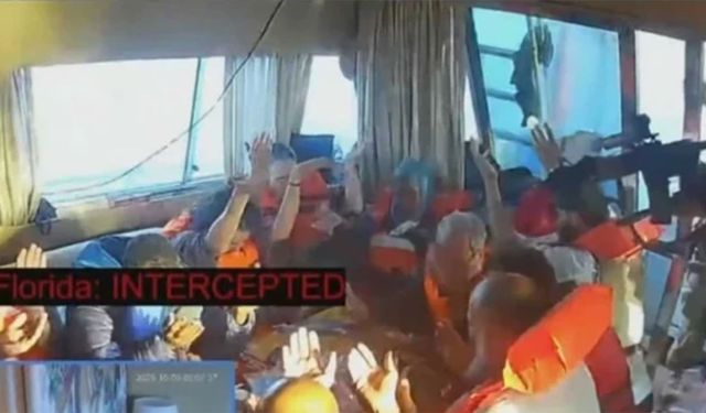 Türk aktivistler için girişimler başladı