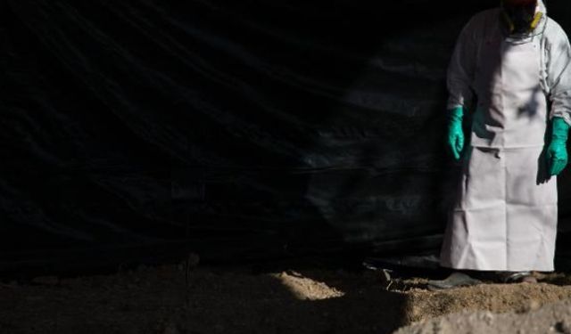 Meksika'da çöp poşetlerine konulmuş 5 ceset bulundu