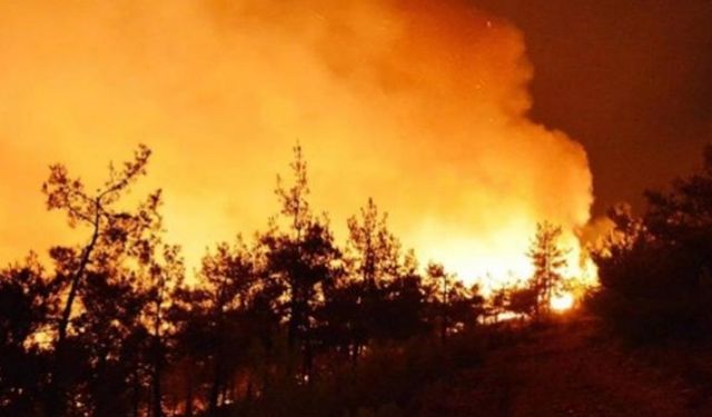 Şili'de çıkan orman yangınlarında ölü sayısı artıyor