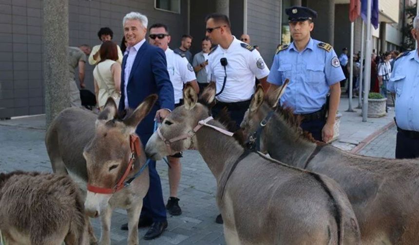 Aylardır başkan seçemeyen meclise eşekli protesto