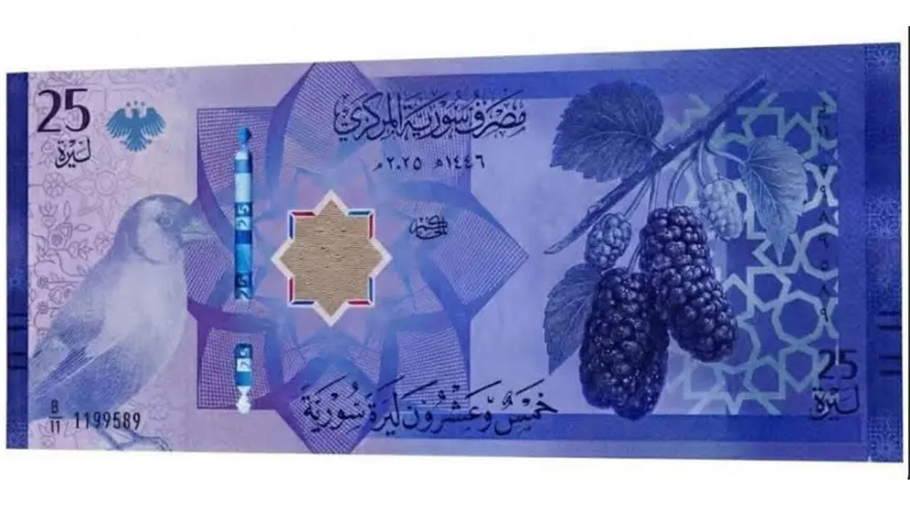 Yeni Suriye Banknotları (3)